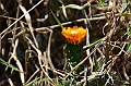 590_Ecuador_Vilcabamba