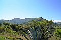 592_Ecuador_Vilcabamba