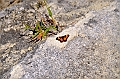 601_Ecuador_Vilcabamba