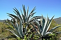 602_Ecuador_Vilcabamba