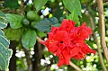 604_Ecuador_Vilcabamba