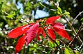 605_Ecuador_Vilcabamba