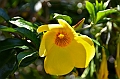 606_Ecuador_Vilcabamba