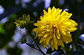 607_Ecuador_Vilcabamba