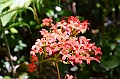 608_Ecuador_Vilcabamba