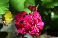 609_Ecuador_Vilcabamba