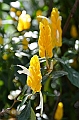 611_Ecuador_Vilcabamba