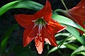 613_Ecuador_Vilcabamba