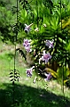 614_Ecuador_Vilcabamba