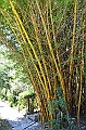 616_Ecuador_Vilcabamba