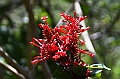 617_Ecuador_Vilcabamba