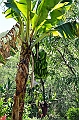 618_Ecuador_Vilcabamba