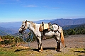 621_Ecuador