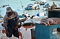 631_Ecuador_Galapagos_Santa_Cruz_Puerto_Ayora