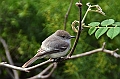 637_Ecuador_Galapagos_Charles_Darwin_Research_Station