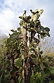 638_Ecuador_Galapagos_Charles_Darwin_Research_Station