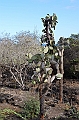 639_Ecuador_Galapagos_Charles_Darwin_Research_Station