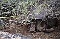 642_Ecuador_Galapagos_Charles_Darwin_Research_Station