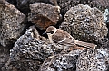643_Ecuador_Galapagos_Charles_Darwin_Research_Station