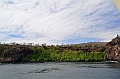 652_Ecuador_Galapagos_Islas_Plazas_South_Boot_Tour