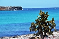 680_Ecuador_Galapagos_Islas_Plazas_South_Boot_Tour