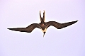 686_Ecuador_Galapagos_Islas_Plazas_South_Boot_Tour