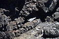 690_Ecuador_Galapagos_Islas_Plazas_South_Boot_Tour