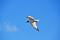 694_Ecuador_Galapagos_Islas_Plazas_South_Boot_Tour