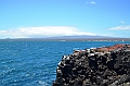 696_Ecuador_Galapagos_Islas_Plazas_South_Boot_Tour