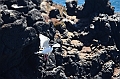 702_Ecuador_Galapagos_Islas_Plazas_South_Boot_Tour