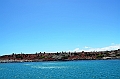 709_Ecuador_Galapagos_Islas_Plazas_South_Boot_Tour