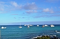 713_Ecuador_Galapagos_Santa_Cruz_Puerto_Ayora