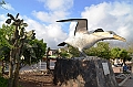 717_Ecuador_Galapagos_Santa_Cruz_Puerto_Ayora