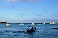 720_Ecuador_Galapagos_Santa_Cruz_Puerto_Ayora