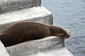 725_Ecuador_Galapagos_Island_Floreana