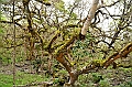 728_Ecuador_Galapagos_Island_Floreana