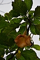 729_Ecuador_Galapagos_Island_Floreana