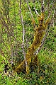 735_Ecuador_Galapagos_Island_Floreana