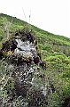 737_Ecuador_Galapagos_Island_Floreana