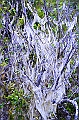 739_Ecuador_Galapagos_Island_Floreana