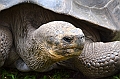 745_Ecuador_Galapagos_Island_Floreana
