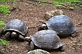 748_Ecuador_Galapagos_Island_Floreana