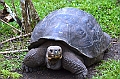 749_Ecuador_Galapagos_Island_Floreana