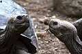 750_Ecuador_Galapagos_Island_Floreana