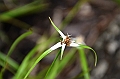 754_Ecuador_Galapagos_Island_Floreana