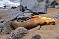 762_Ecuador_Galapagos_Island_Floreana