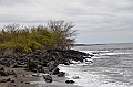 764_Ecuador_Galapagos_Island_Floreana