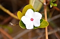 765_Ecuador_Galapagos_Island_Floreana