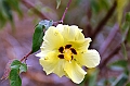 766_Ecuador_Galapagos_Island_Floreana