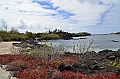 773_Ecuador_Galapagos_Island_Floreana